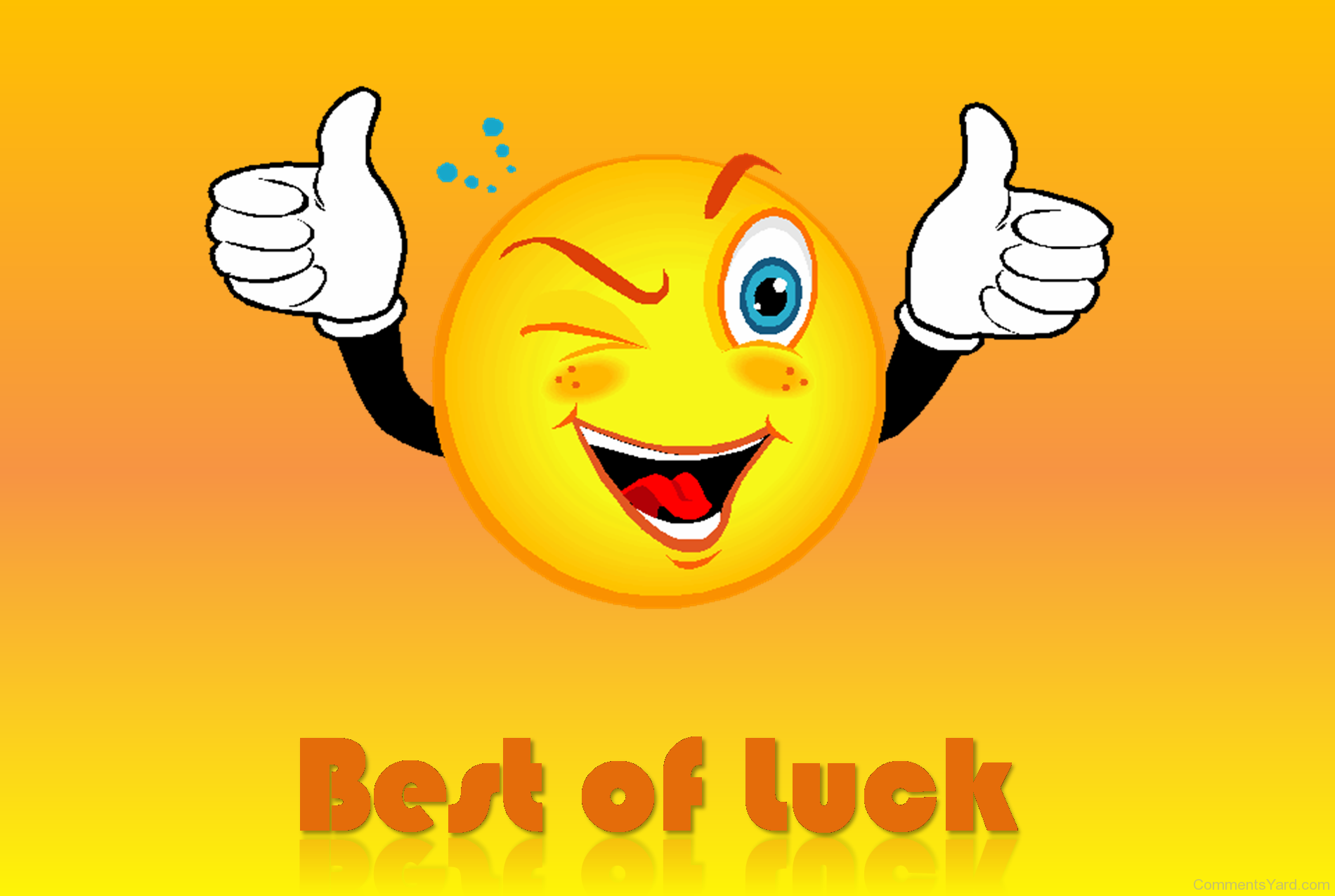 Wonderful Best Of Luck Smiley Picture