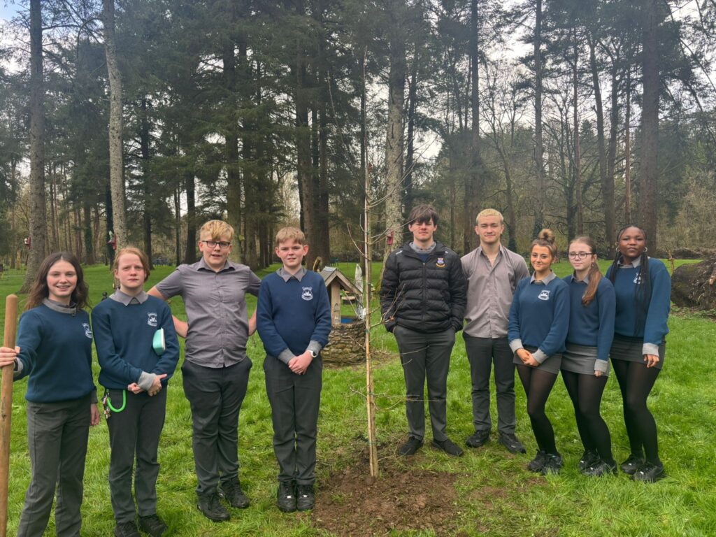 26-Treeplanting